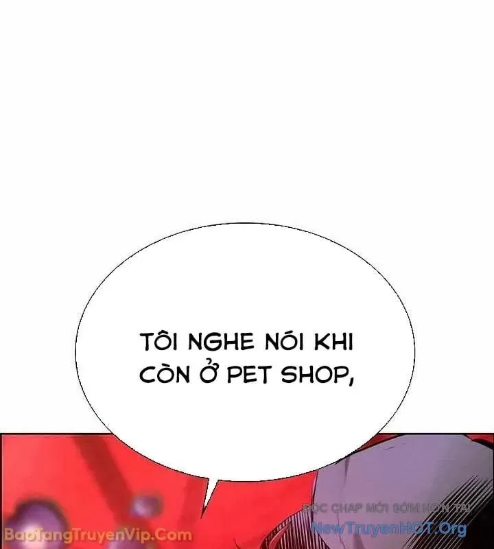 Trang 114