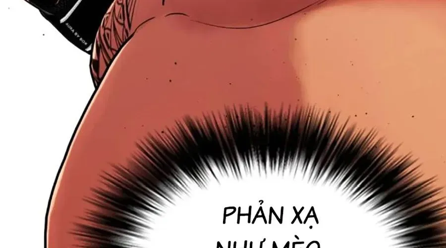 Trang 494