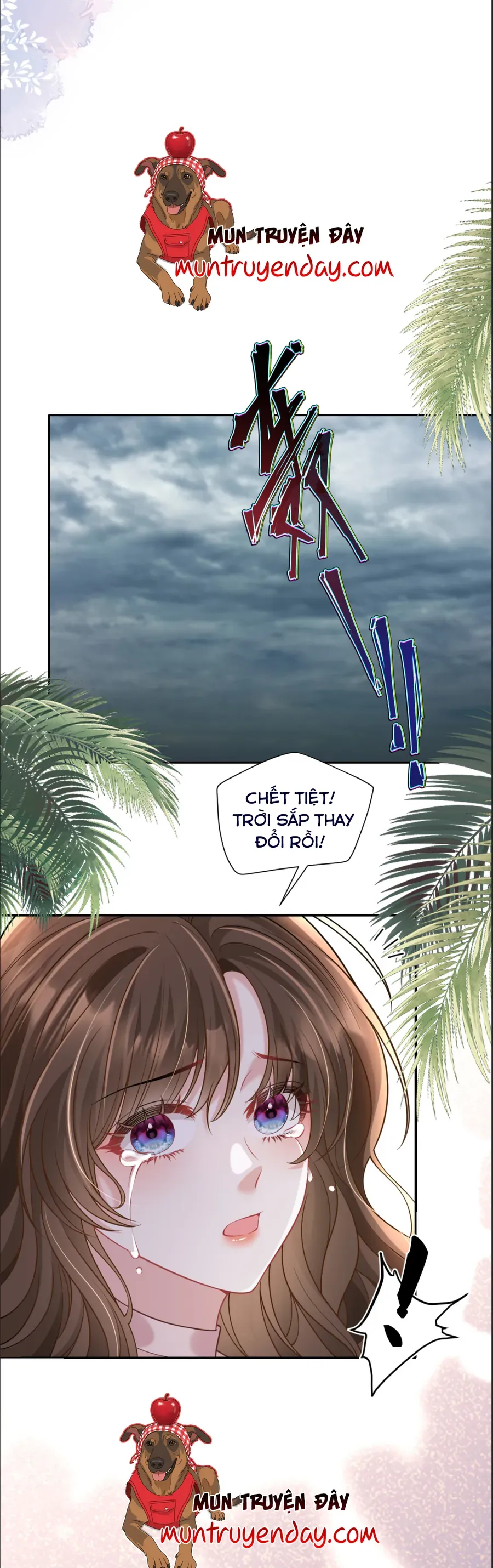 Trang 8
