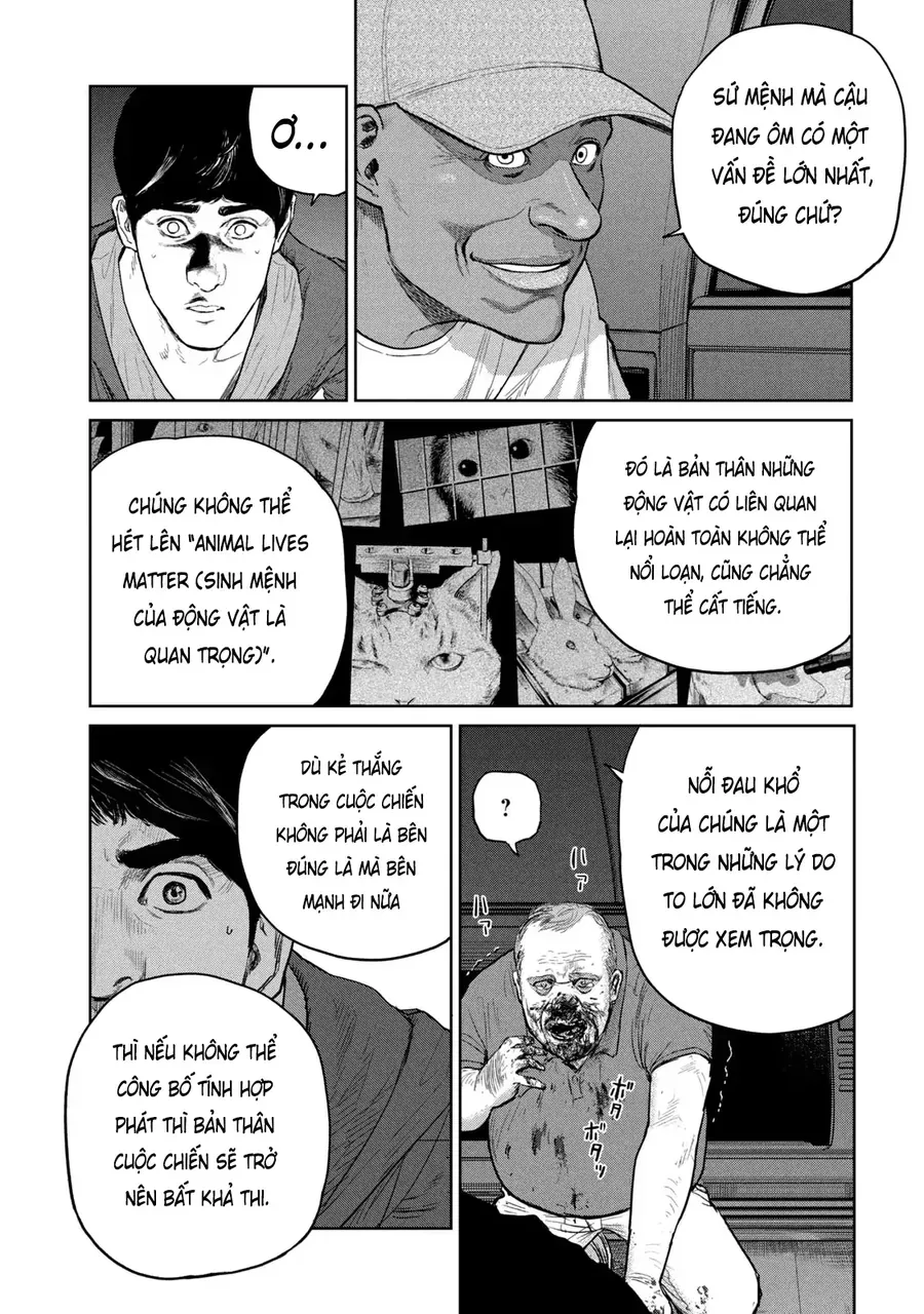 Trang 17