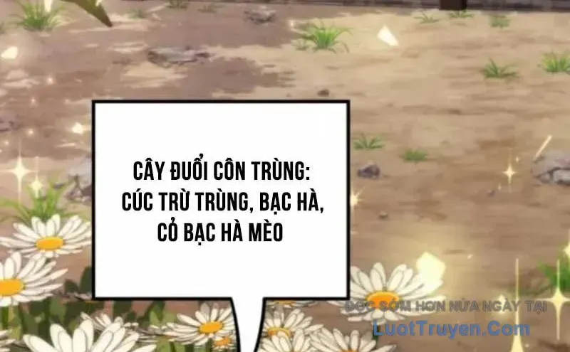 Trang 195