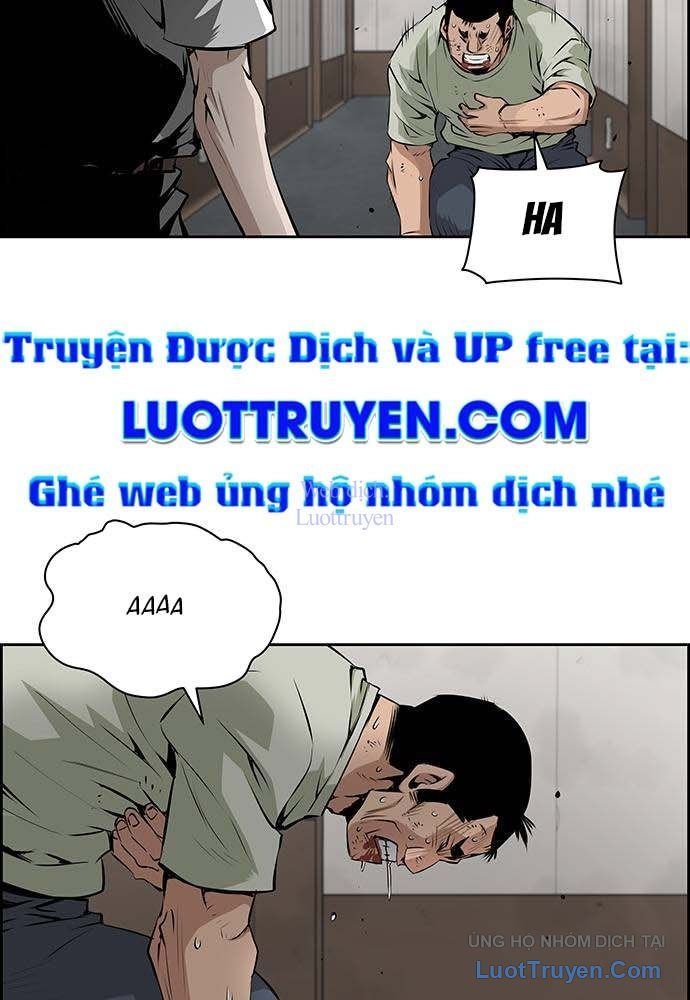 Trang 52