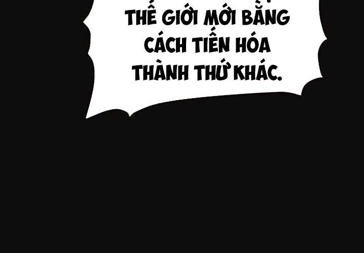 Trang 249