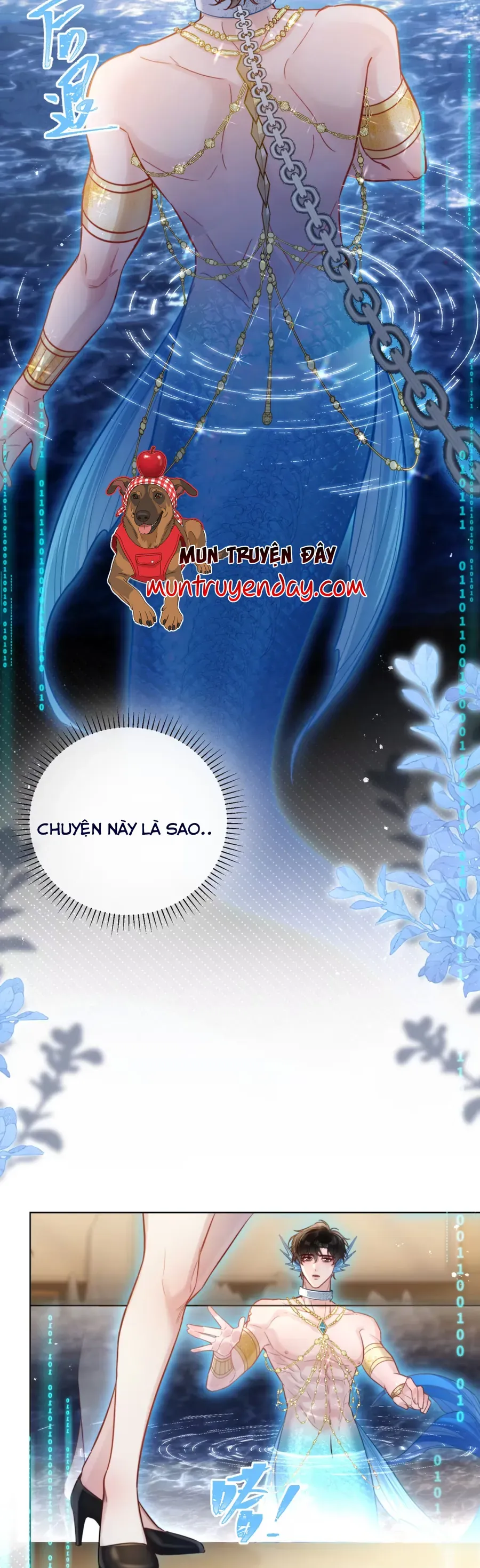 Trang 6