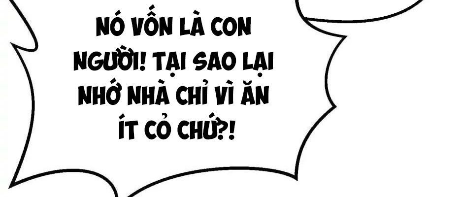 Trang 372