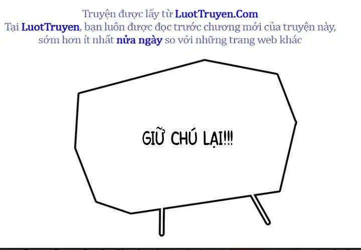 Trang 231