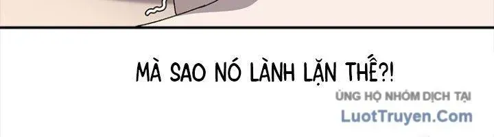 Trang 245