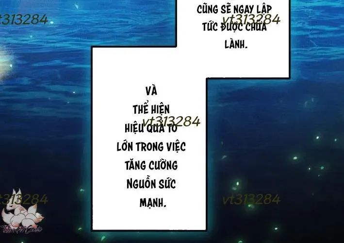 Trang 117