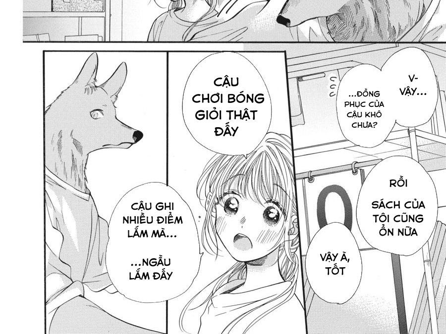Trang 19