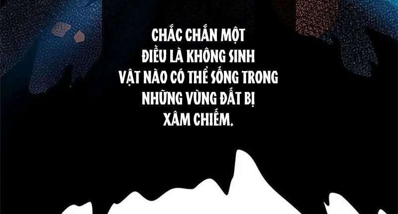 Trang 116