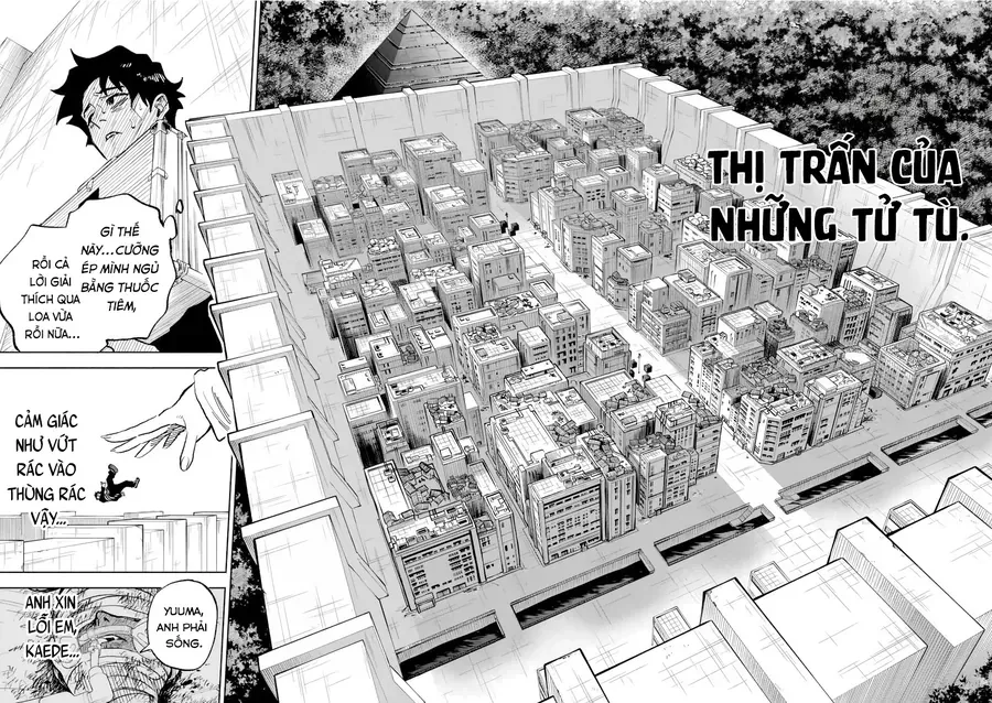 Trang 19
